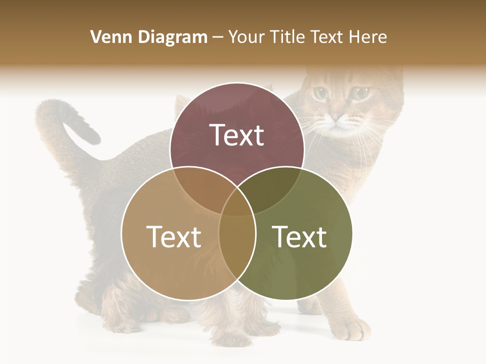 Single Childhood Purr PowerPoint Template