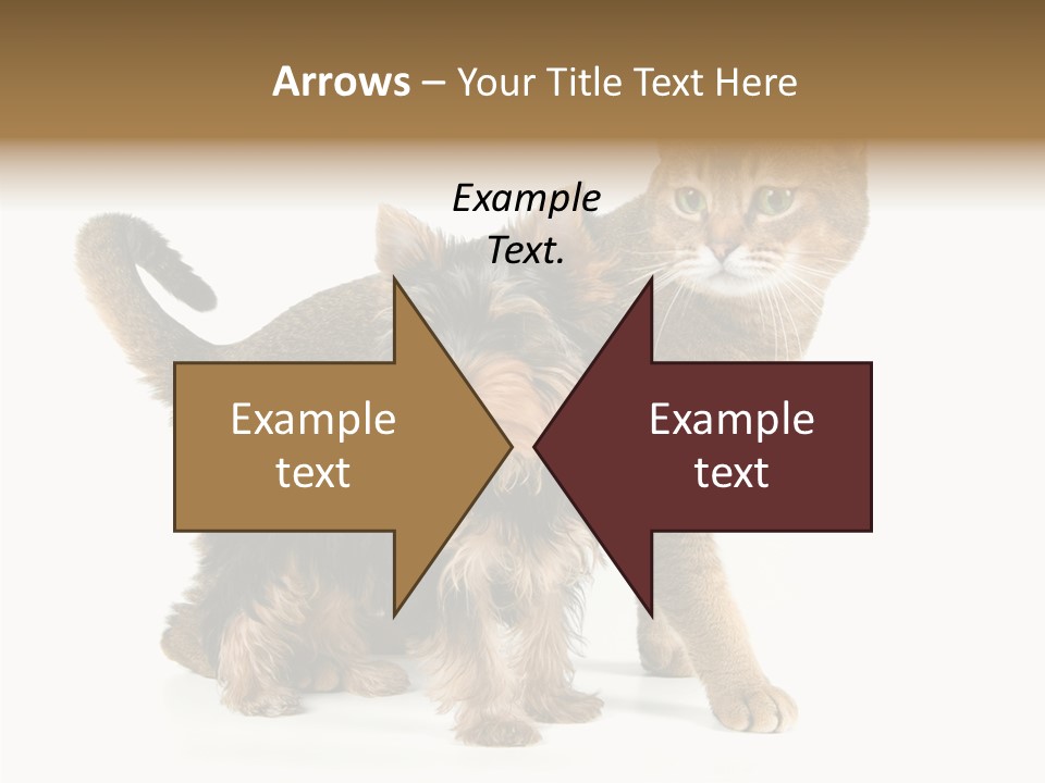 Single Childhood Purr PowerPoint Template