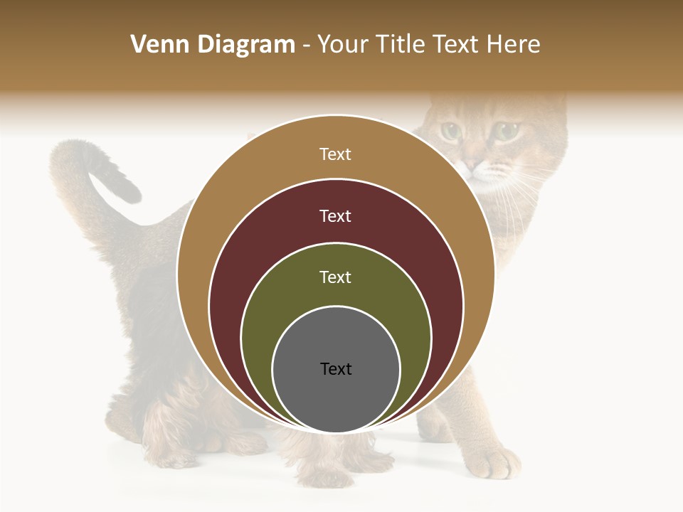 Single Childhood Purr PowerPoint Template