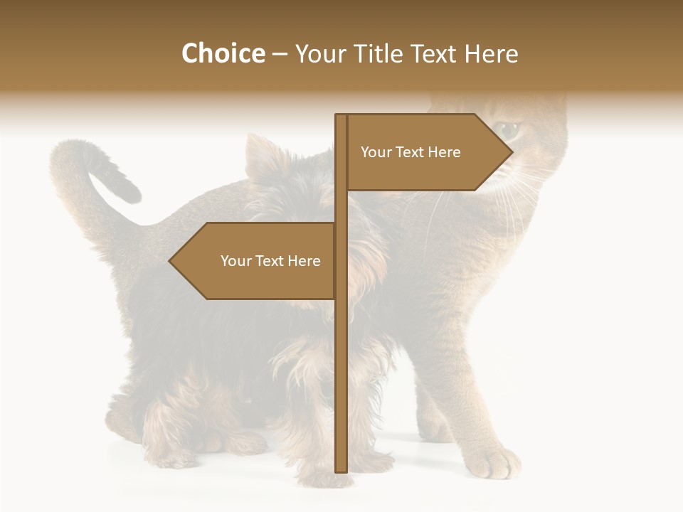 Single Childhood Purr PowerPoint Template