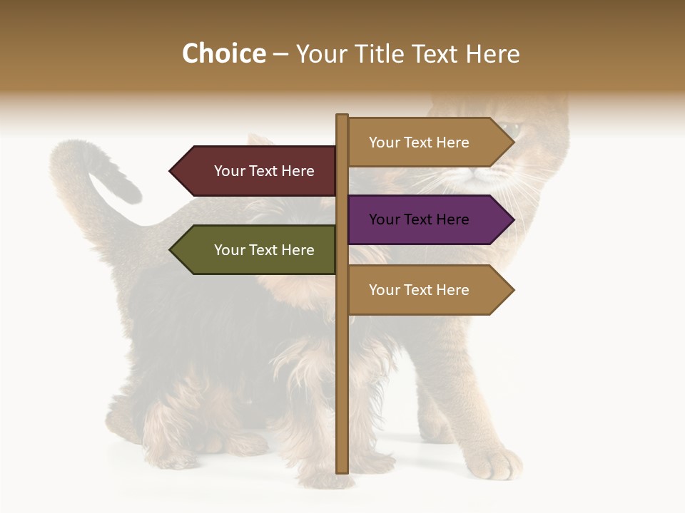 Single Childhood Purr PowerPoint Template