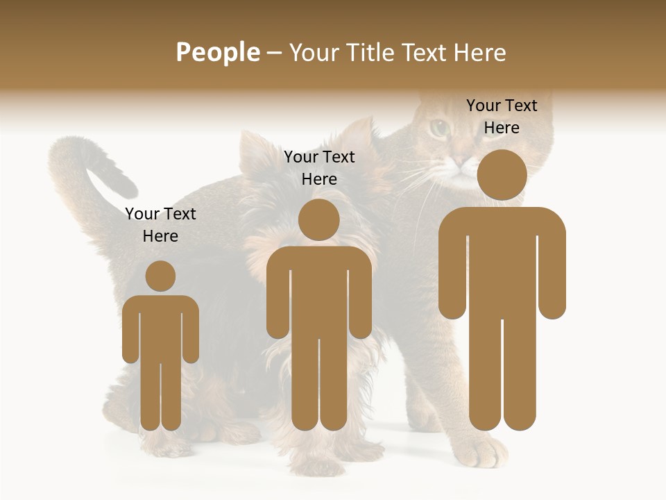 Single Childhood Purr PowerPoint Template