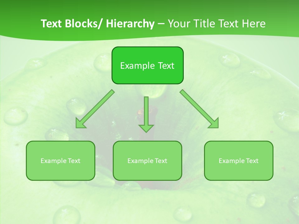 Refreshment Healthy Colored PowerPoint Template