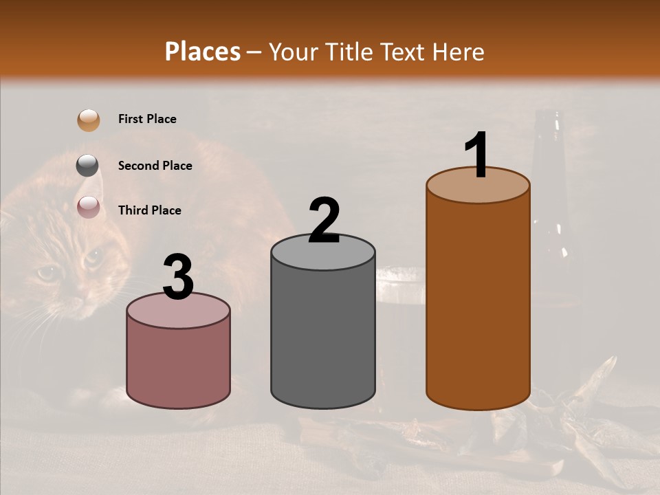 Yummy Food Sacking PowerPoint Template