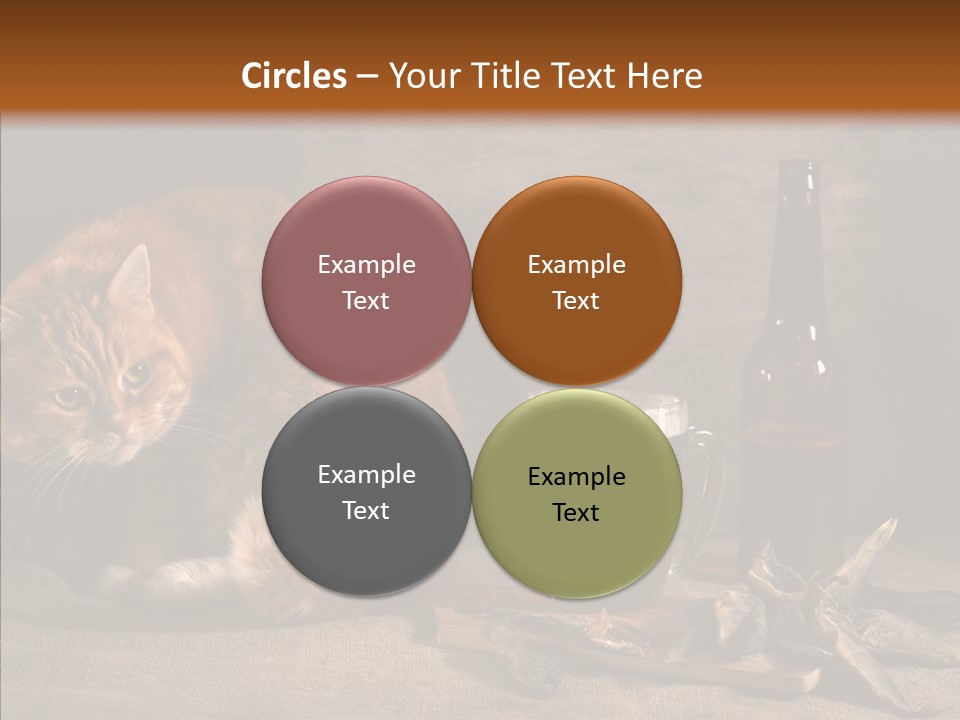 Yummy Food Sacking PowerPoint Template