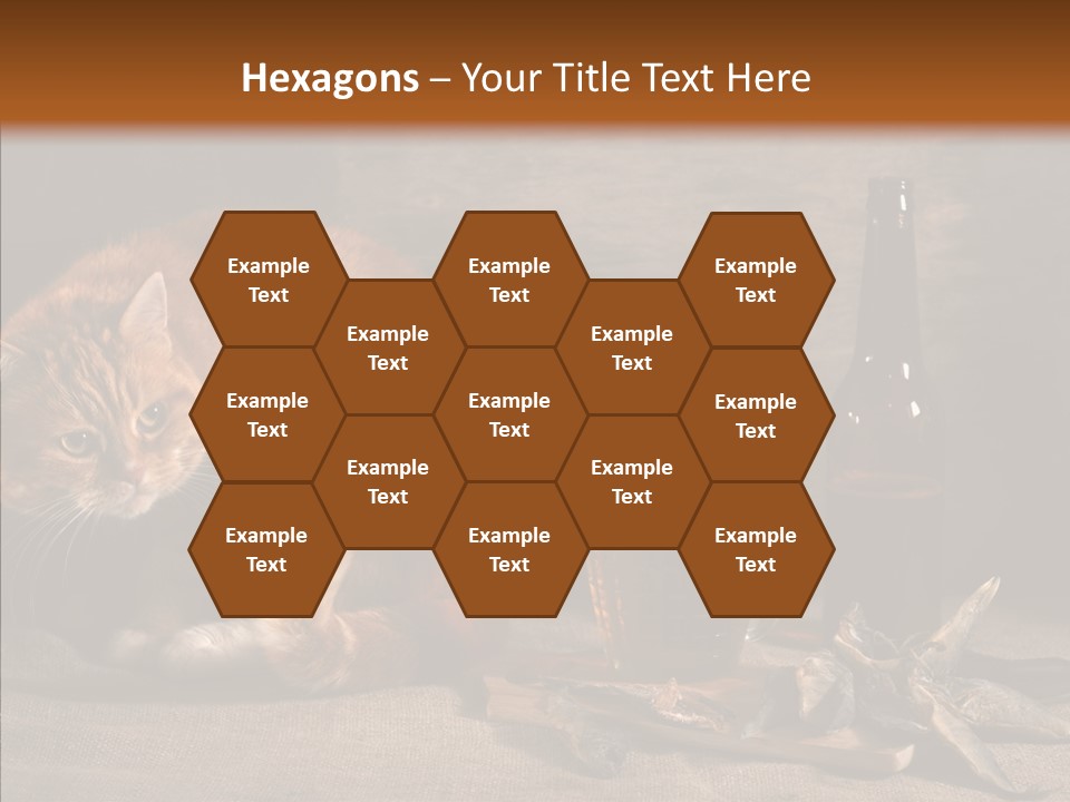 Yummy Food Sacking PowerPoint Template