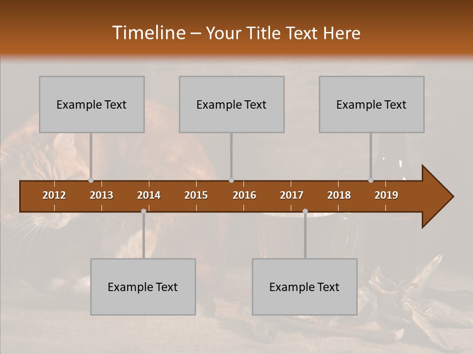 Yummy Food Sacking PowerPoint Template