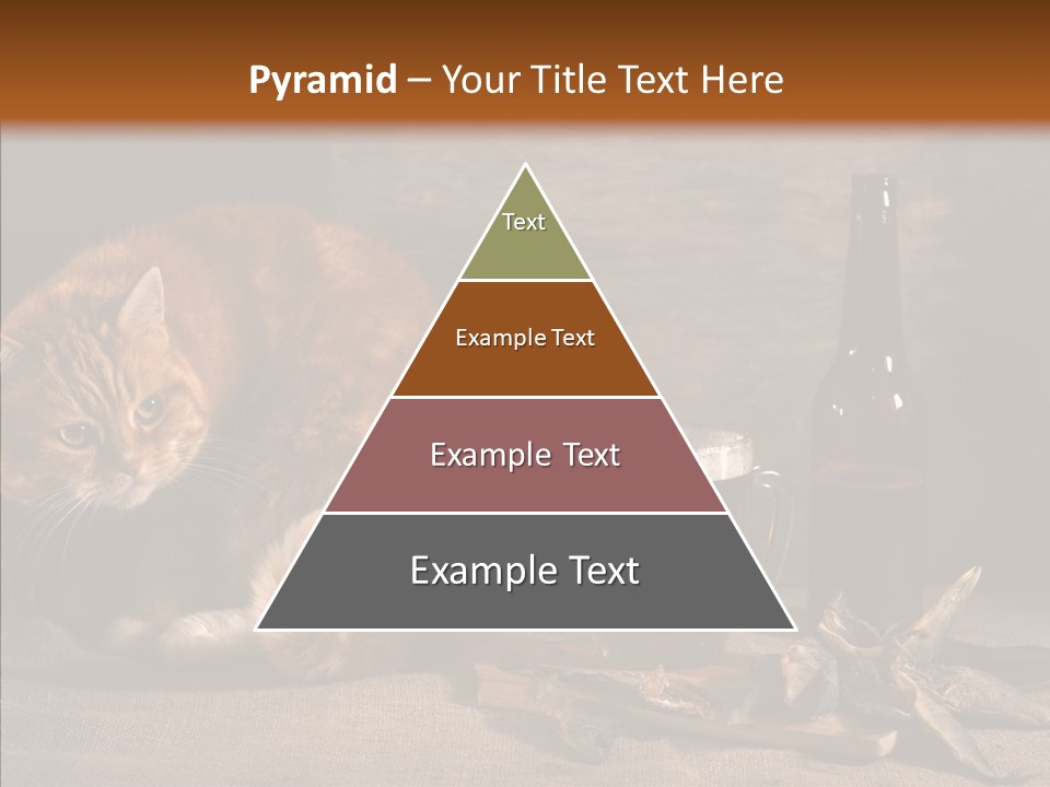 Yummy Food Sacking PowerPoint Template