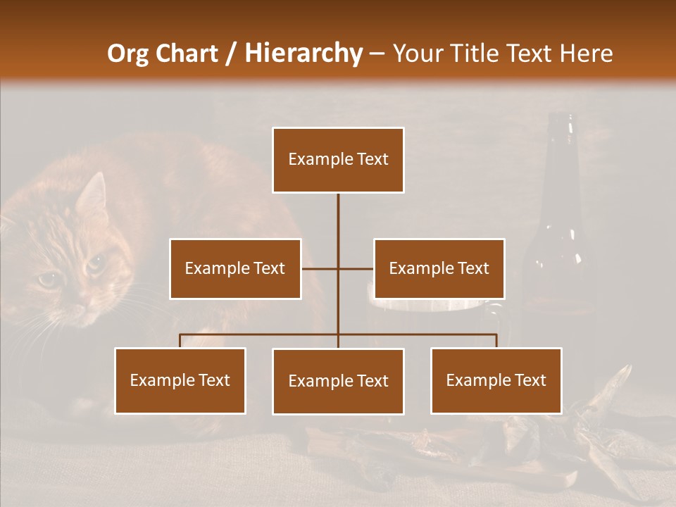 Yummy Food Sacking PowerPoint Template