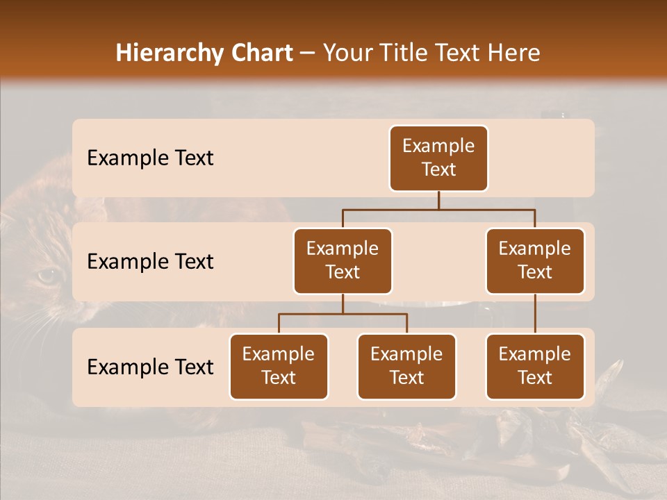 Yummy Food Sacking PowerPoint Template