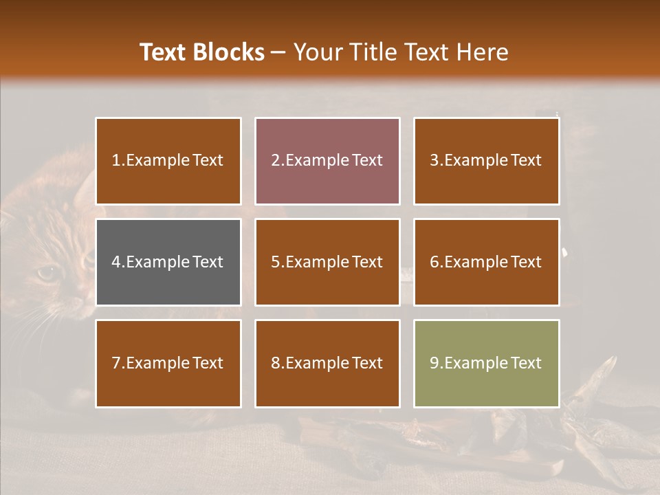 Yummy Food Sacking PowerPoint Template