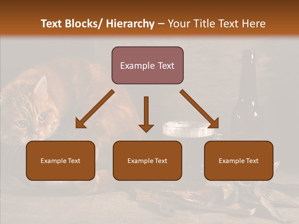 Yummy Food Sacking PowerPoint Template