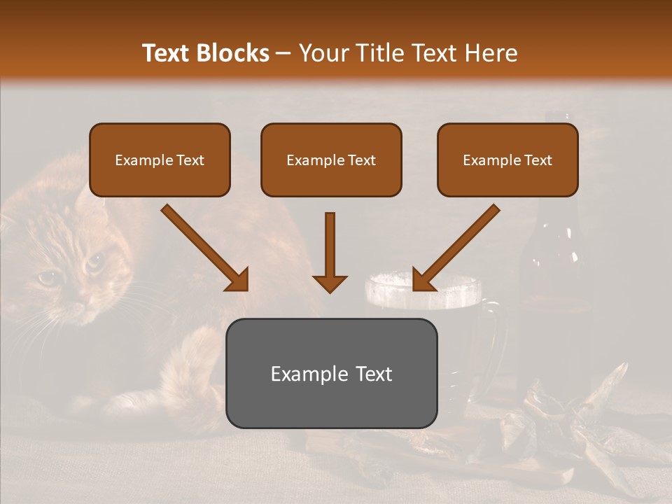 Yummy Food Sacking PowerPoint Template