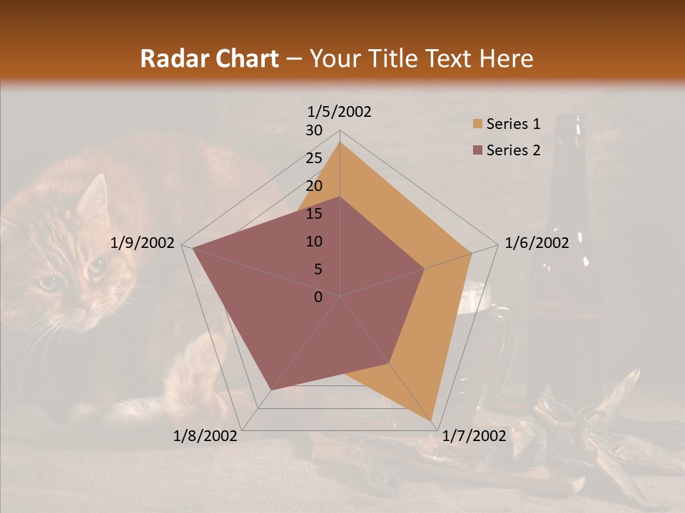 Yummy Food Sacking PowerPoint Template