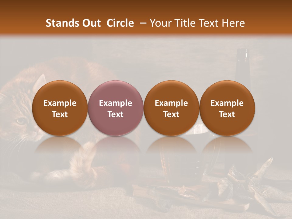 Yummy Food Sacking PowerPoint Template