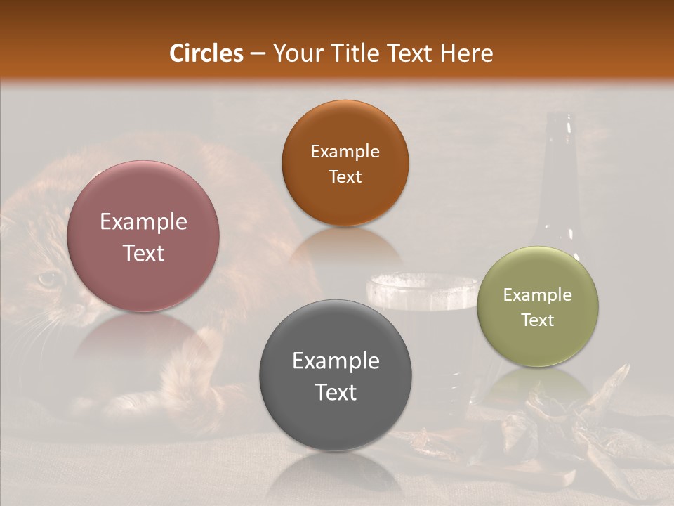 Yummy Food Sacking PowerPoint Template