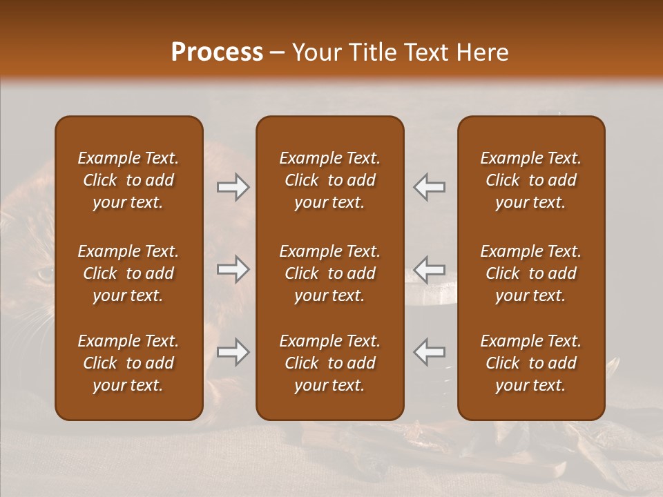 Yummy Food Sacking PowerPoint Template
