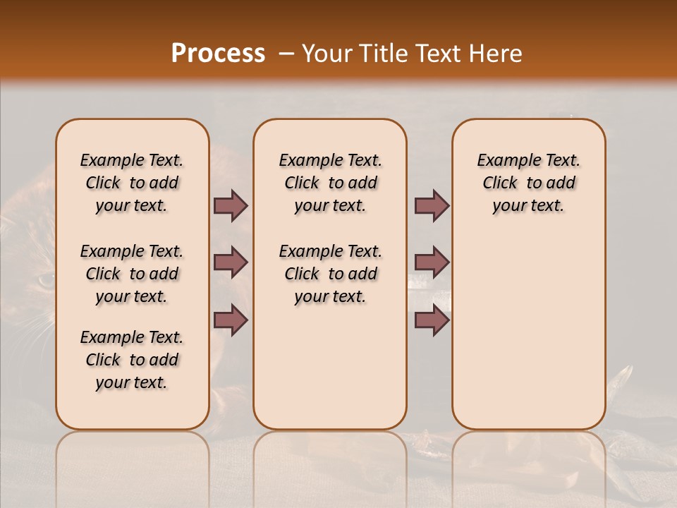 Yummy Food Sacking PowerPoint Template