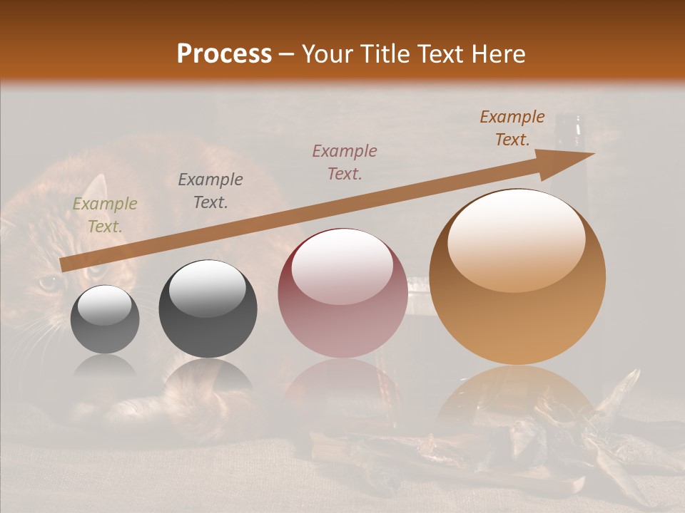 Yummy Food Sacking PowerPoint Template