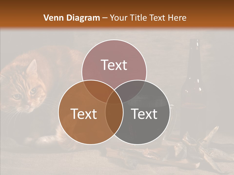 Yummy Food Sacking PowerPoint Template