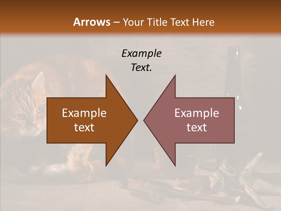 Yummy Food Sacking PowerPoint Template