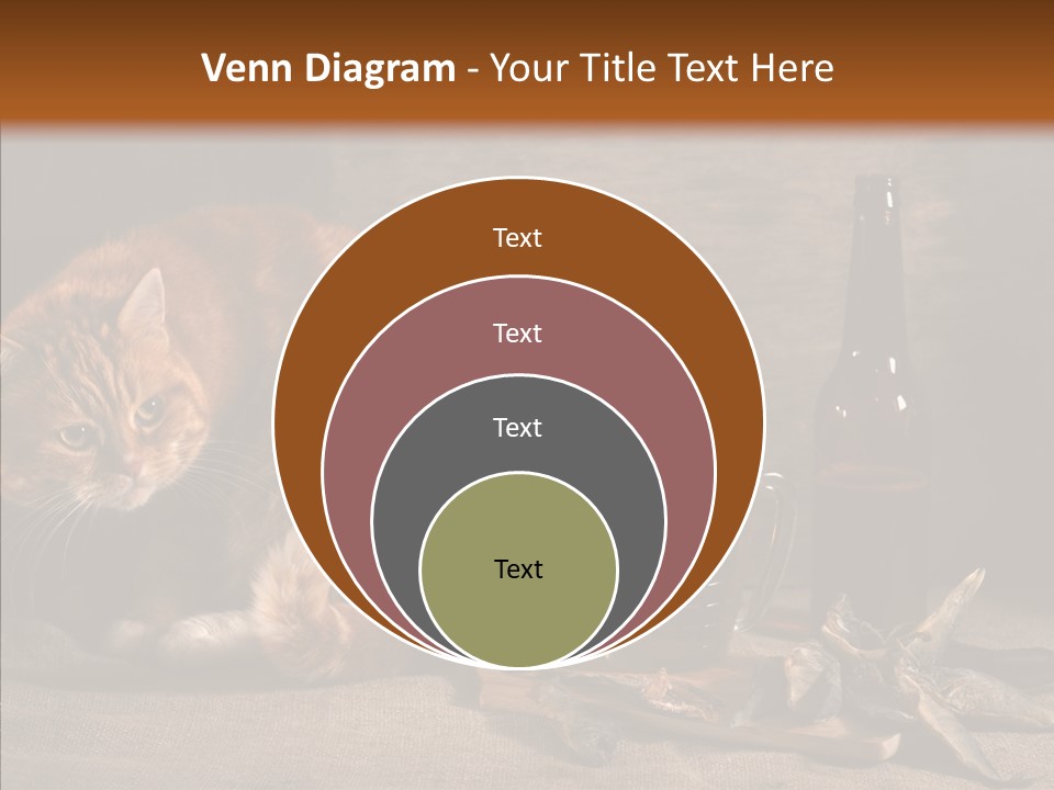 Yummy Food Sacking PowerPoint Template