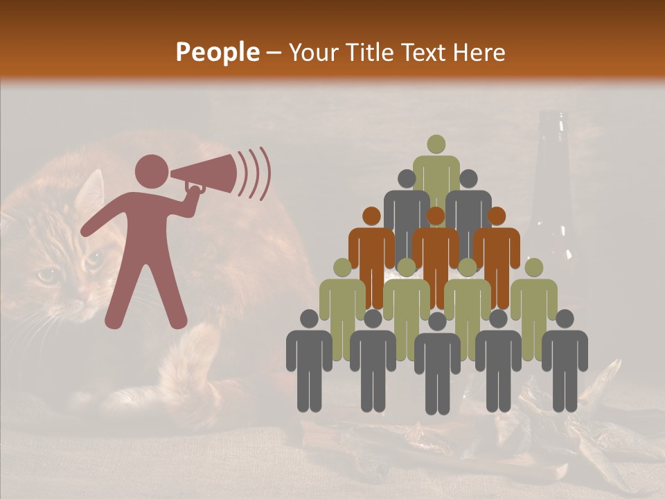 Yummy Food Sacking PowerPoint Template