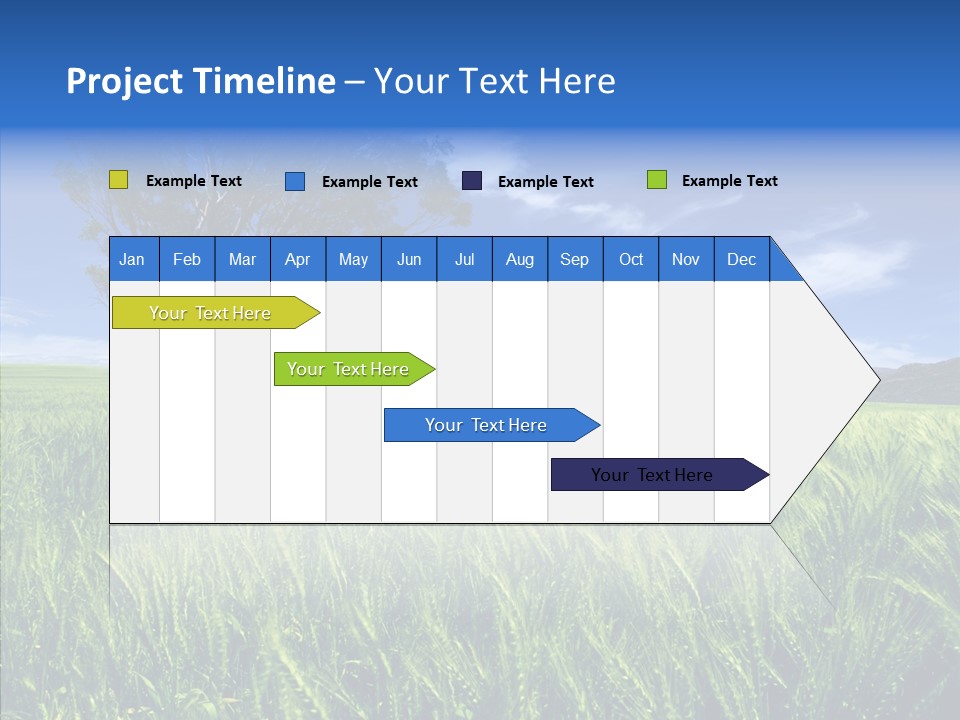 Profe Ional People Di Cu Ion PowerPoint Template