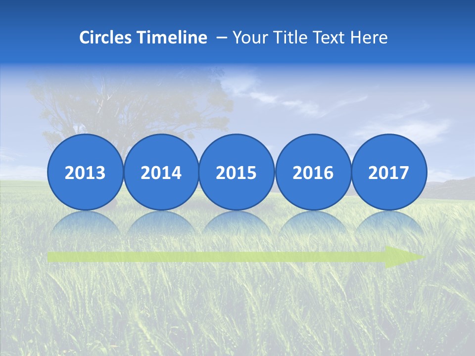 Profe Ional People Di Cu Ion PowerPoint Template