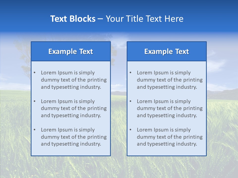 Profe Ional People Di Cu Ion PowerPoint Template