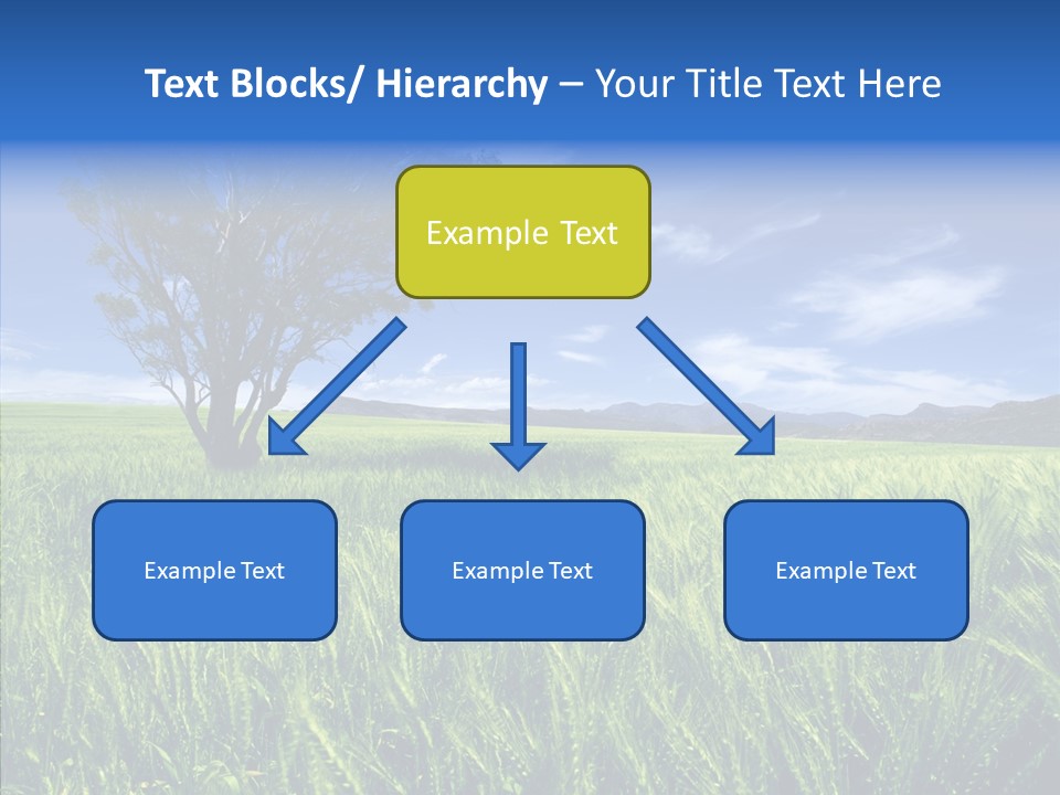 Profe Ional People Di Cu Ion PowerPoint Template