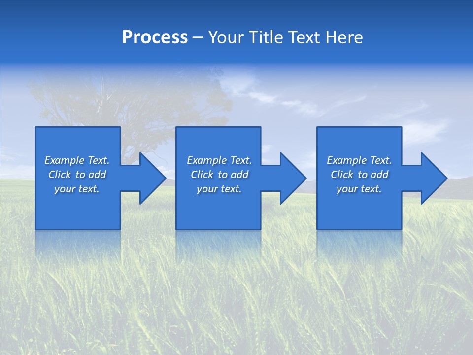 Profe Ional People Di Cu Ion PowerPoint Template
