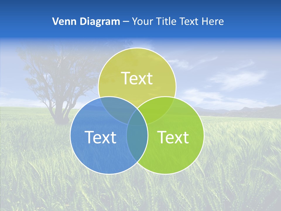 Profe Ional People Di Cu Ion PowerPoint Template