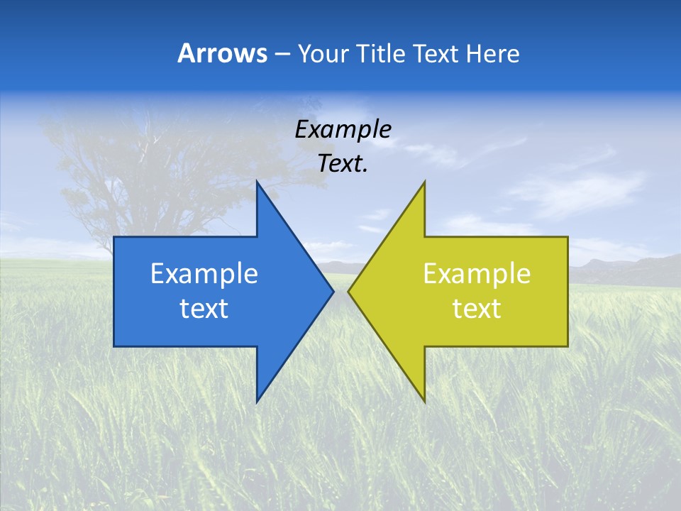 Profe Ional People Di Cu Ion PowerPoint Template
