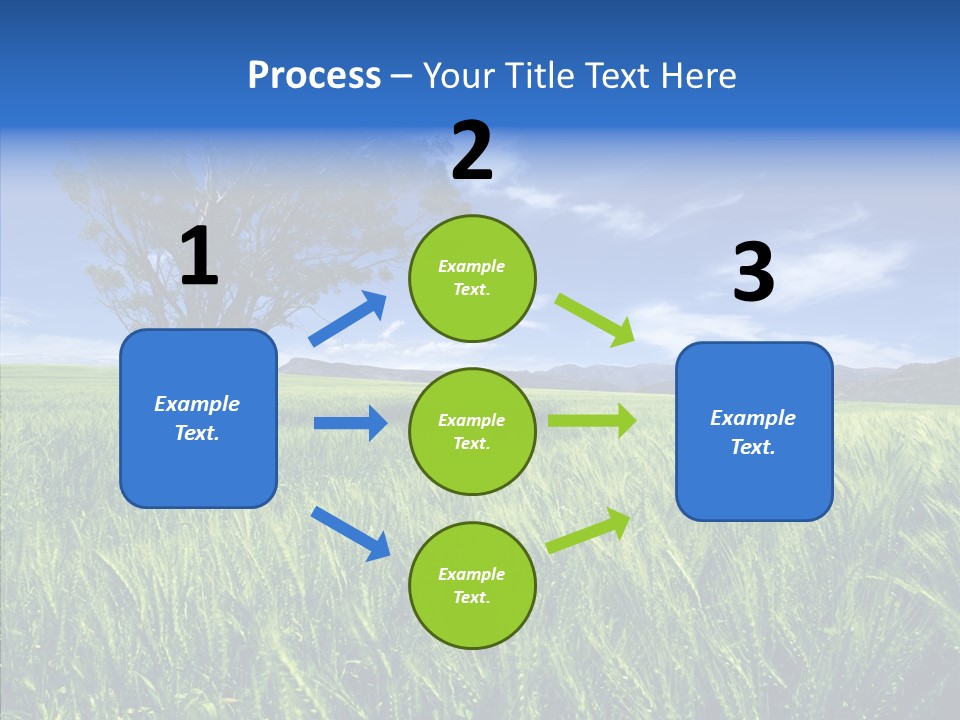 Profe Ional People Di Cu Ion PowerPoint Template