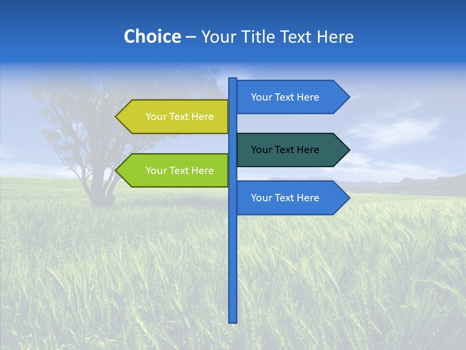 Profe Ional People Di Cu Ion PowerPoint Template