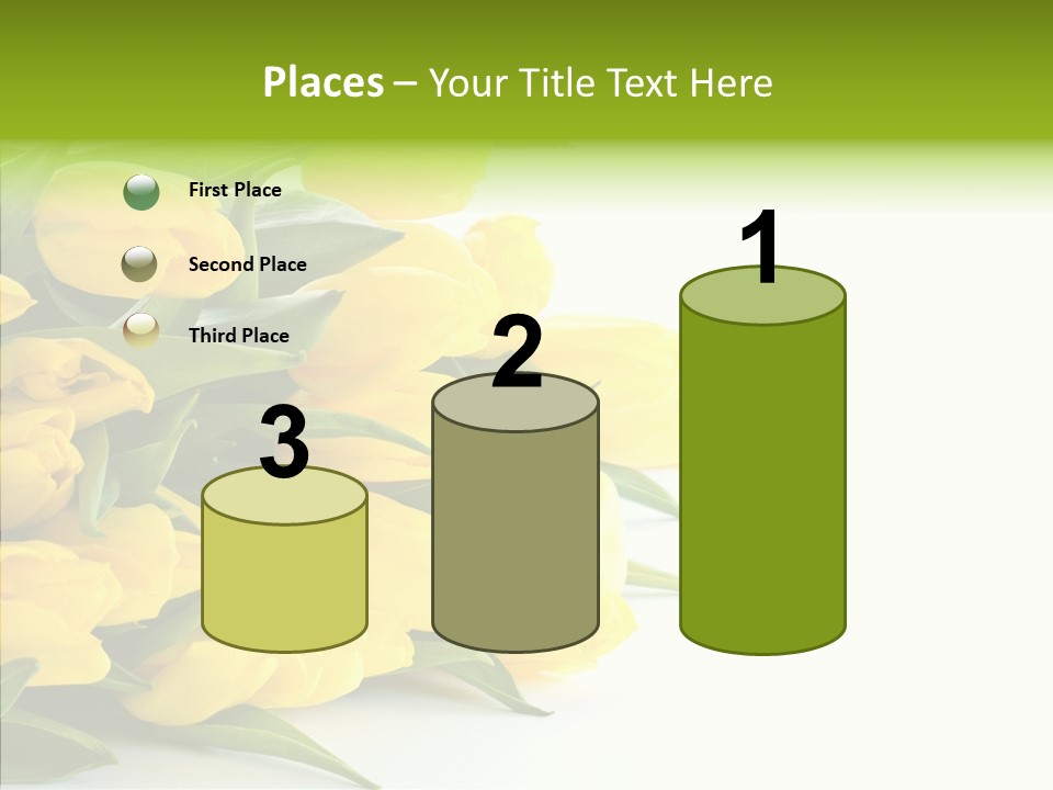 Space Bouquet Color PowerPoint Template