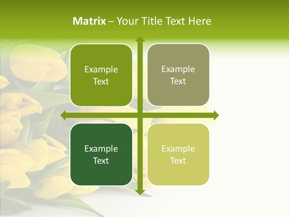 Space Bouquet Color PowerPoint Template