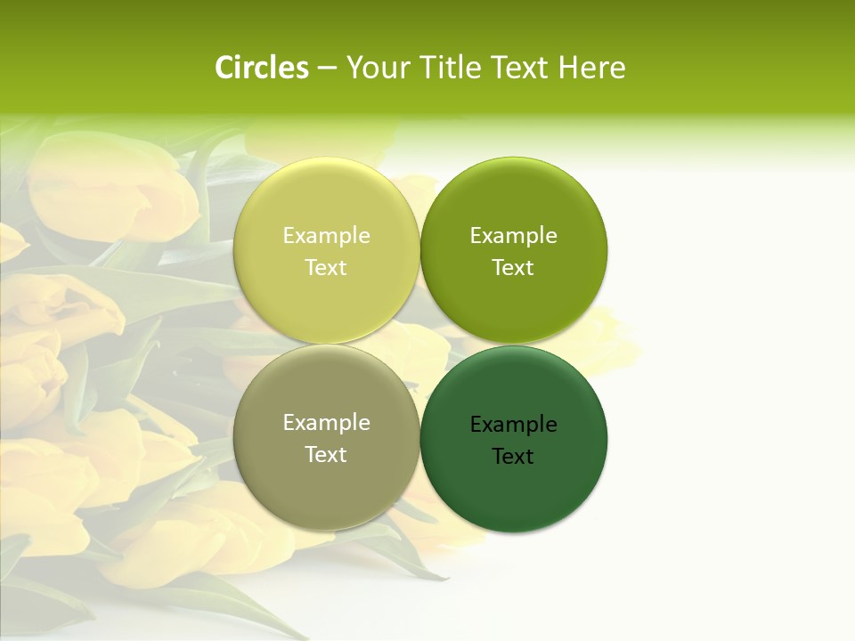 Space Bouquet Color PowerPoint Template