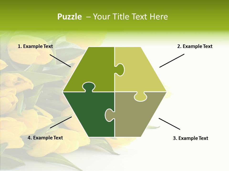 Space Bouquet Color PowerPoint Template