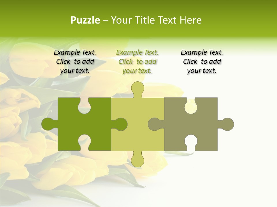 Space Bouquet Color PowerPoint Template