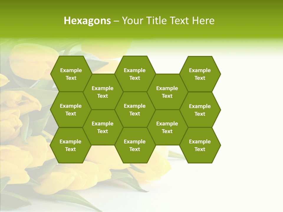 Space Bouquet Color PowerPoint Template