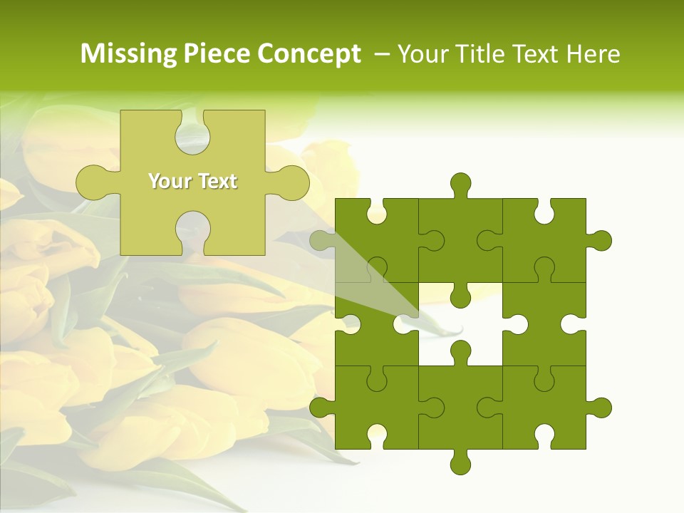 Space Bouquet Color PowerPoint Template