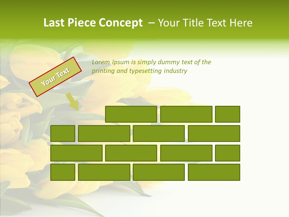 Space Bouquet Color PowerPoint Template