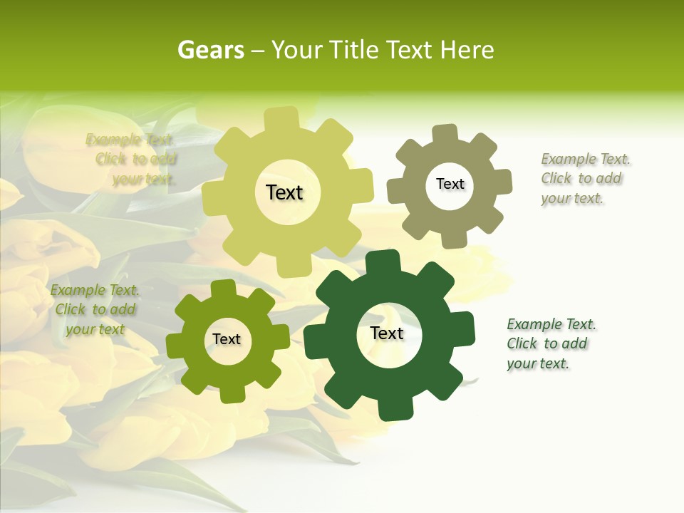 Space Bouquet Color PowerPoint Template