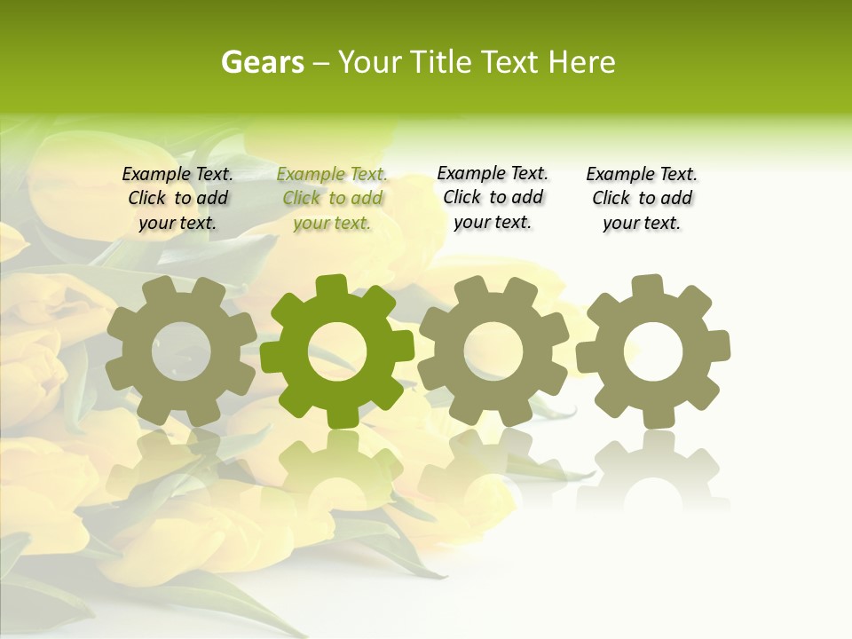 Space Bouquet Color PowerPoint Template