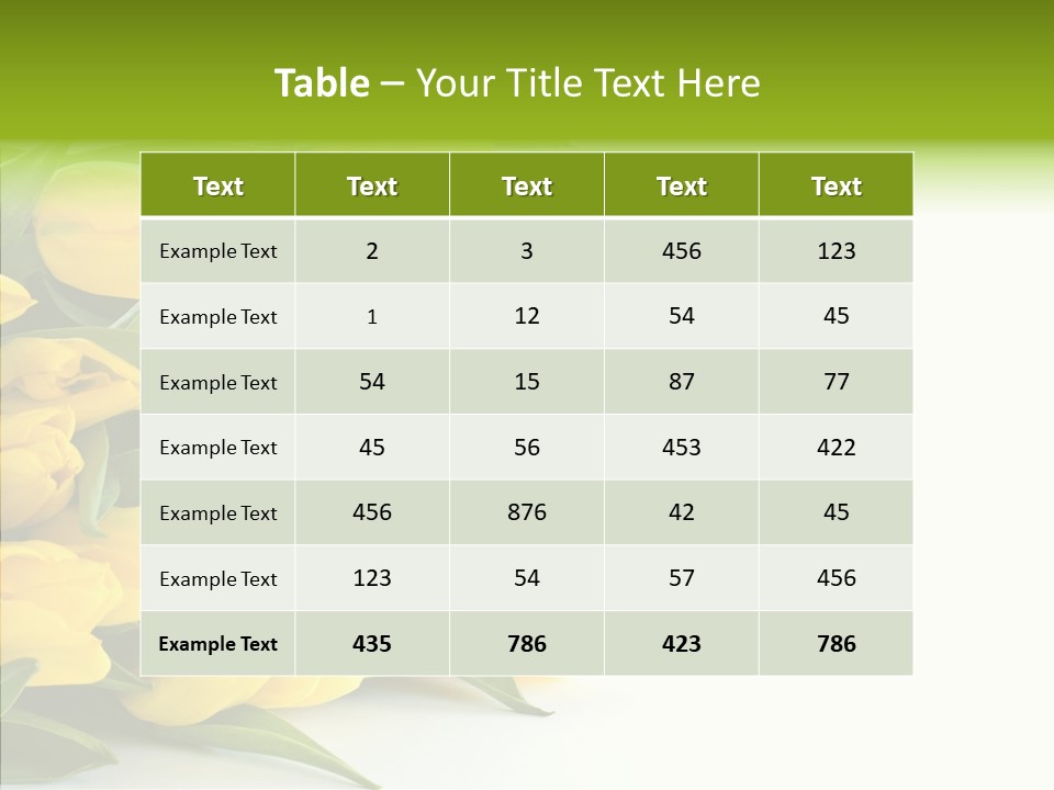 Space Bouquet Color PowerPoint Template