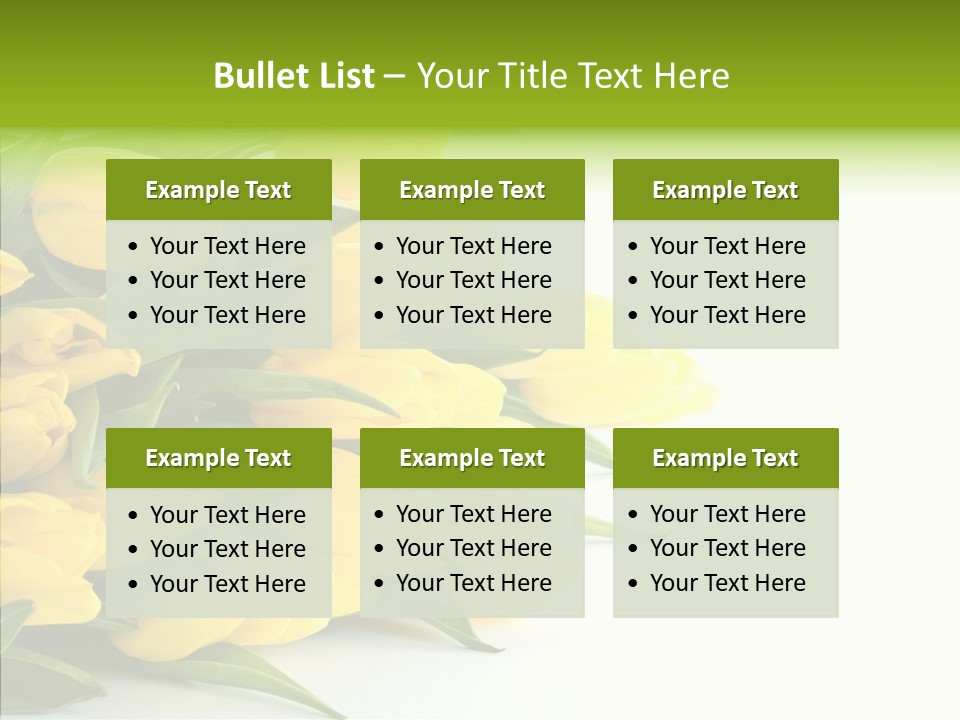 Space Bouquet Color PowerPoint Template