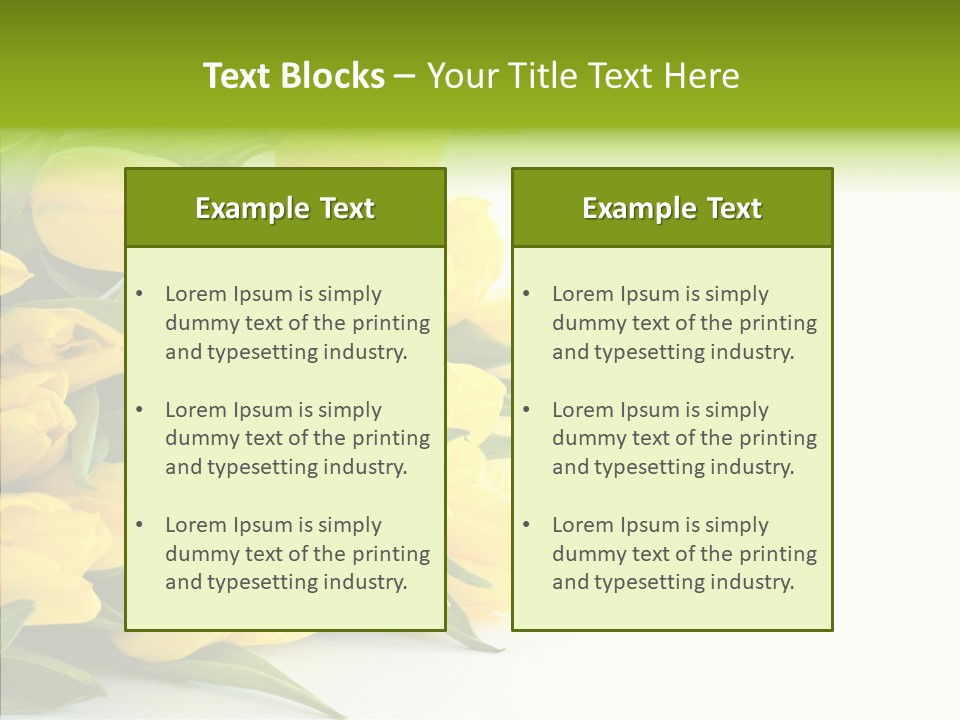 Space Bouquet Color PowerPoint Template