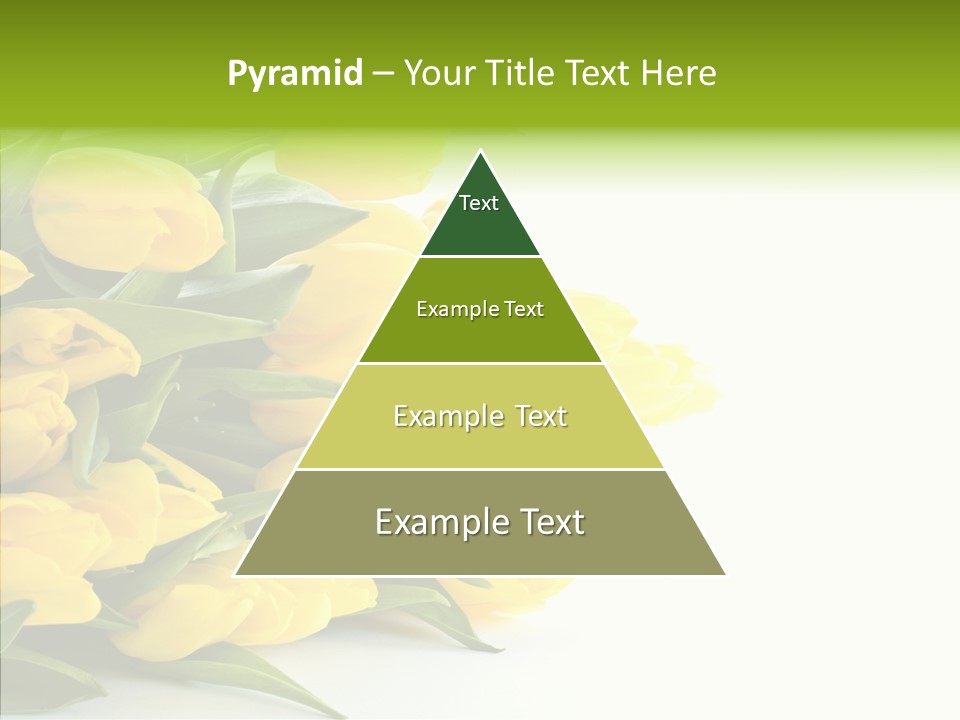 Space Bouquet Color PowerPoint Template